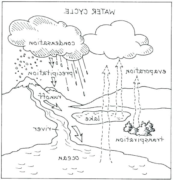 575x600 Water Cycle Coloring Page