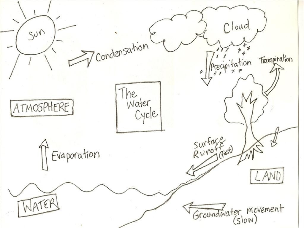 1024x769 Great Water Cycle Coloring Page Imagine Unknown Resolutions High