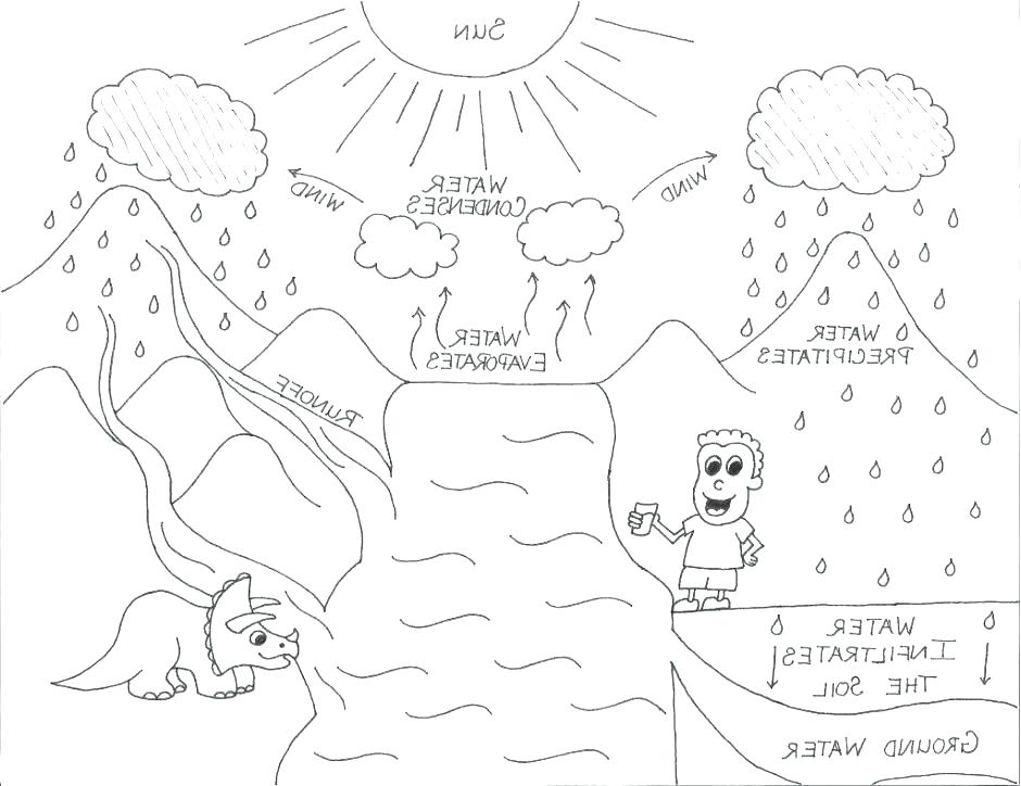 940x724 Photosynthesis Coloring Page Luxury Water Cycle Coloring Page