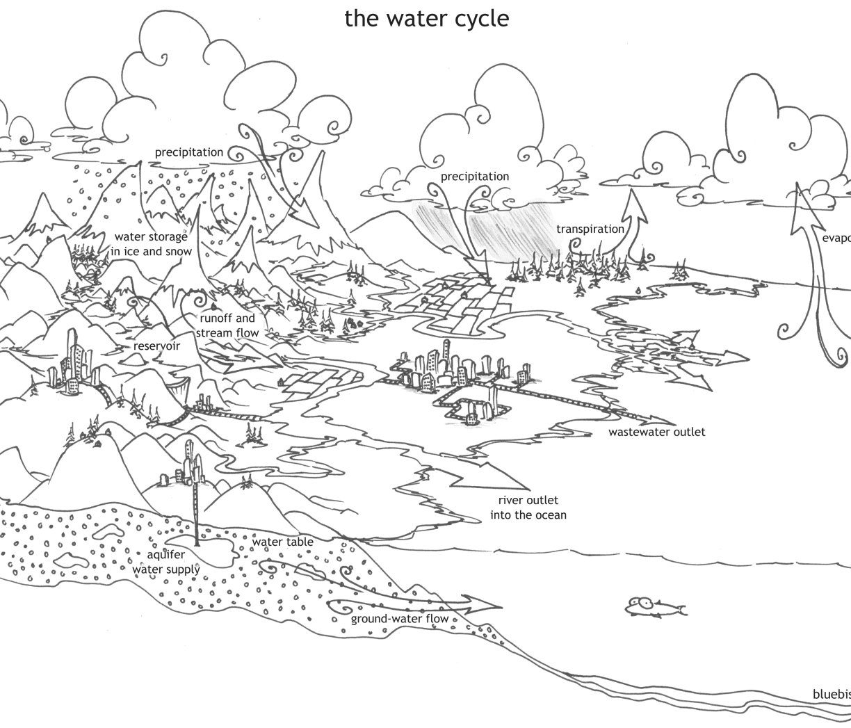 1224x1047 Printable Water Cycle Diagram Coloring Pages To Print For Kids