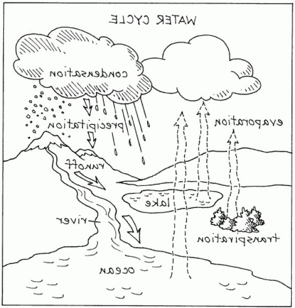 575x600 The Best Water Cycle Coloring Page Pdf