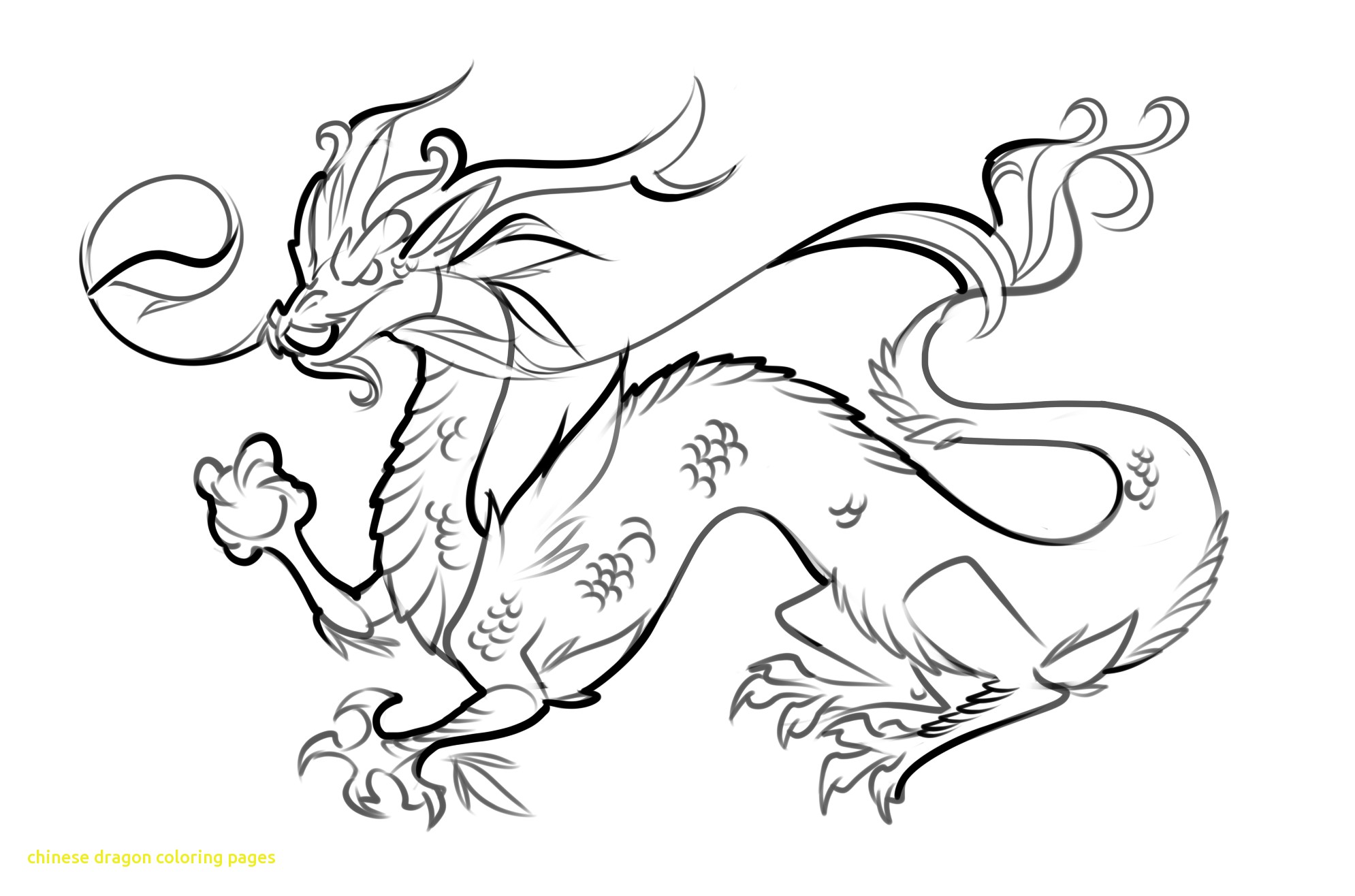 1990x1316 Fresh Chinese Water Dragon Coloring Page
