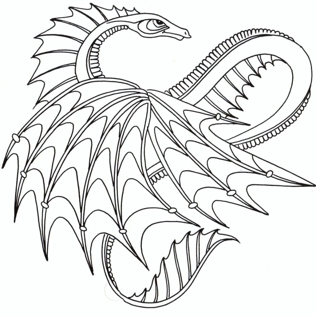 1024x1024 Pin By April Dikty ( Ordoyne) On Dragons Adult