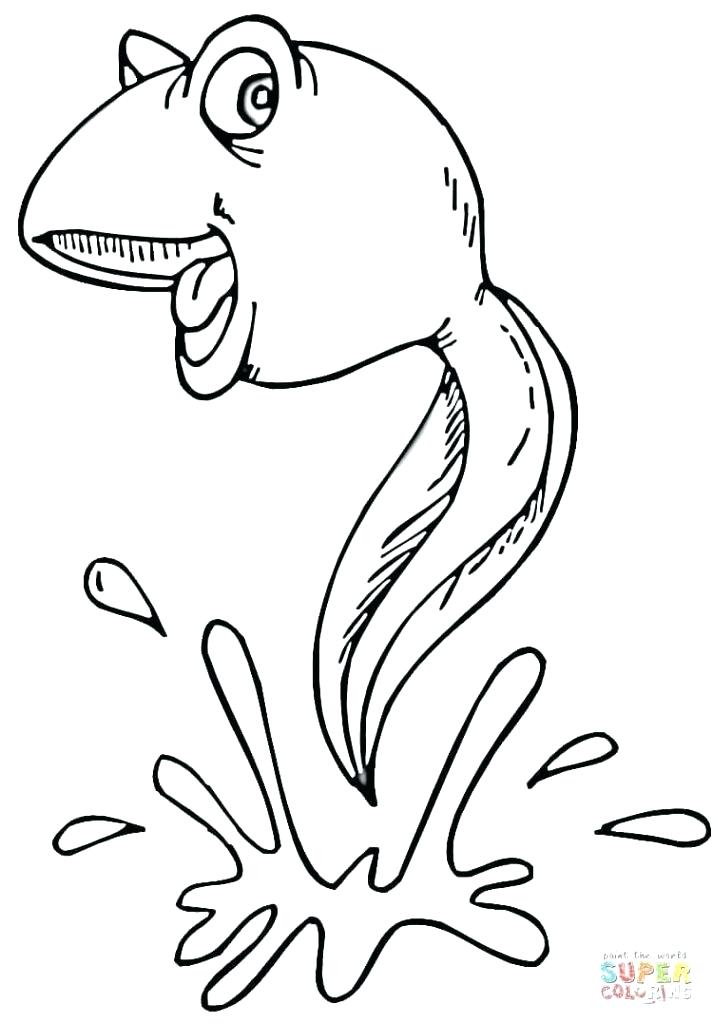 713x1024 Save Water Coloring Pages Fuhrer Von