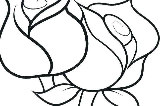643x425 Water Lily Coloring Sheets Color Page Flower Pages Plant Parts X