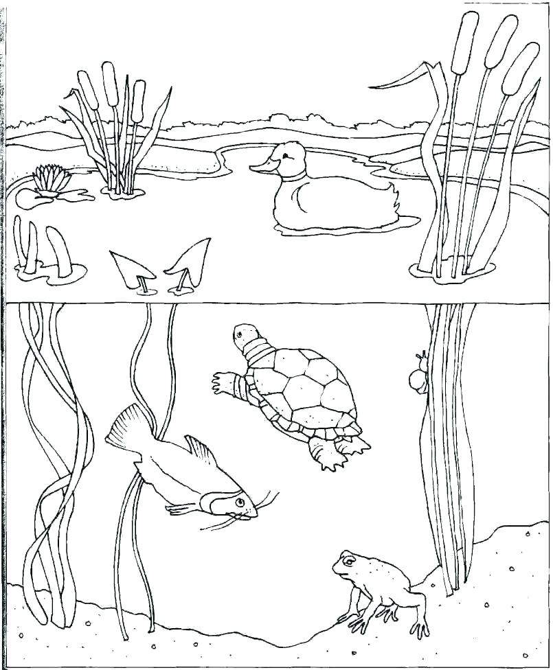 805x976 Water Coloring Pages Drinking Water With A Straw Coloring Pages