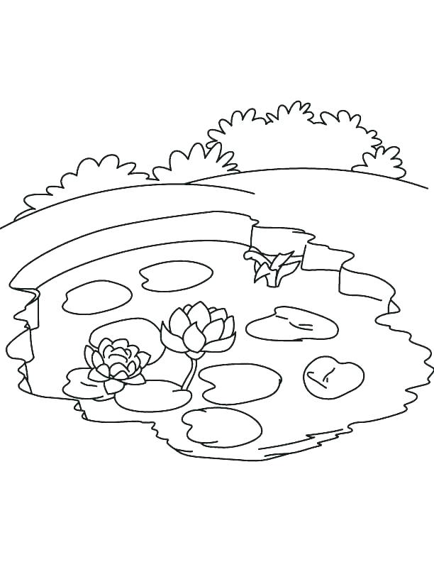612x792 Water Coloring Pictures Coloring Pages Of Water Water Cycle