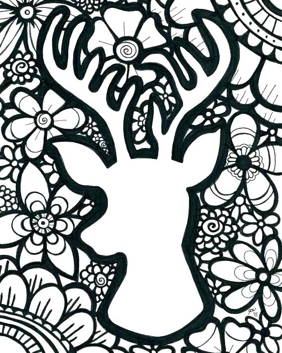 570x713 Deer Coloring Page Deer Color Pages Coloring Pages Deer Pen