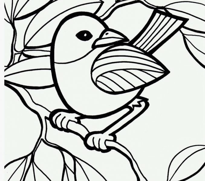 678x600 Watercolor Coloring Pages