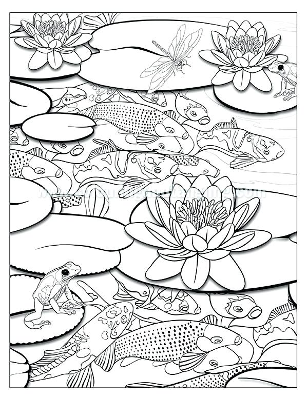600x776 Waterfall Coloring Page Ponds Coloring Book Coloring Pages