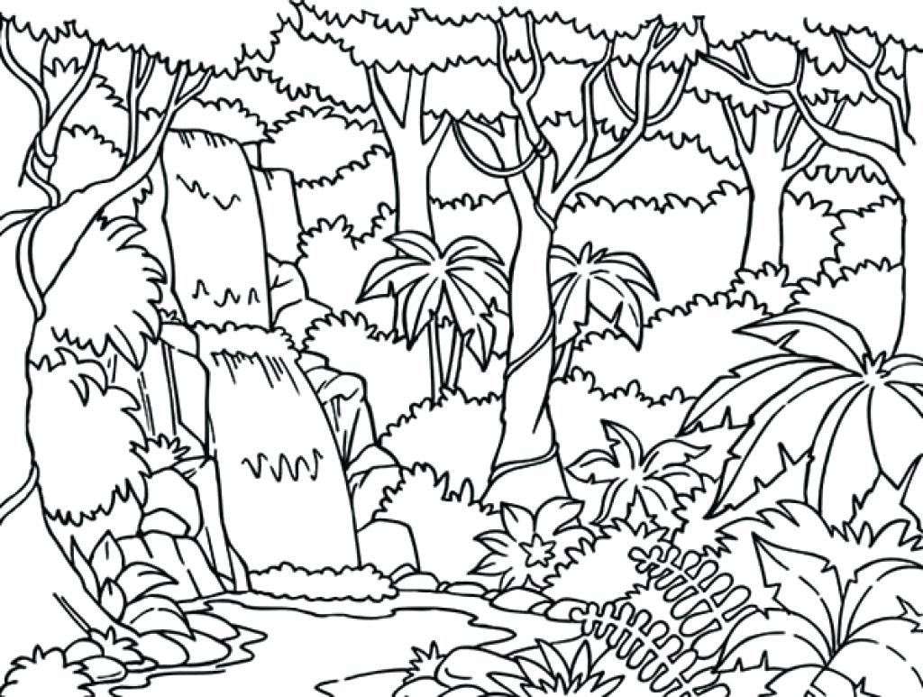 1024x773 Best Harmony Of Nature Adult Coloring Book Pg Color Pages