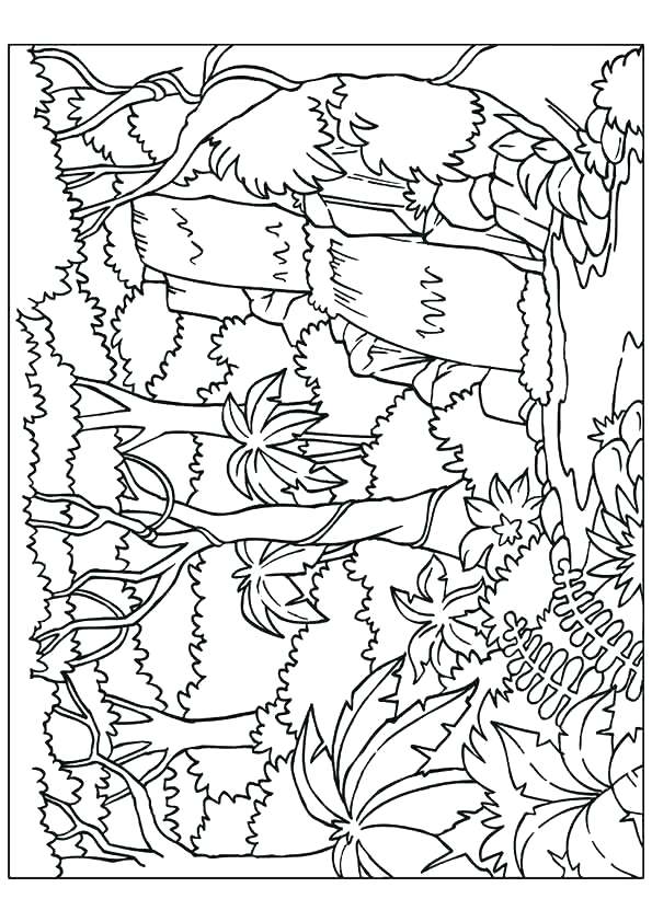 595x842 Coloring Pages Forest Waterfall Coloring Page Nature Coloring