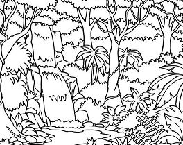 264x209 Fall Coloring Pages