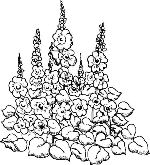 600x660 Garden Watering Can And Flower Pot Coloring Pages Color Luna