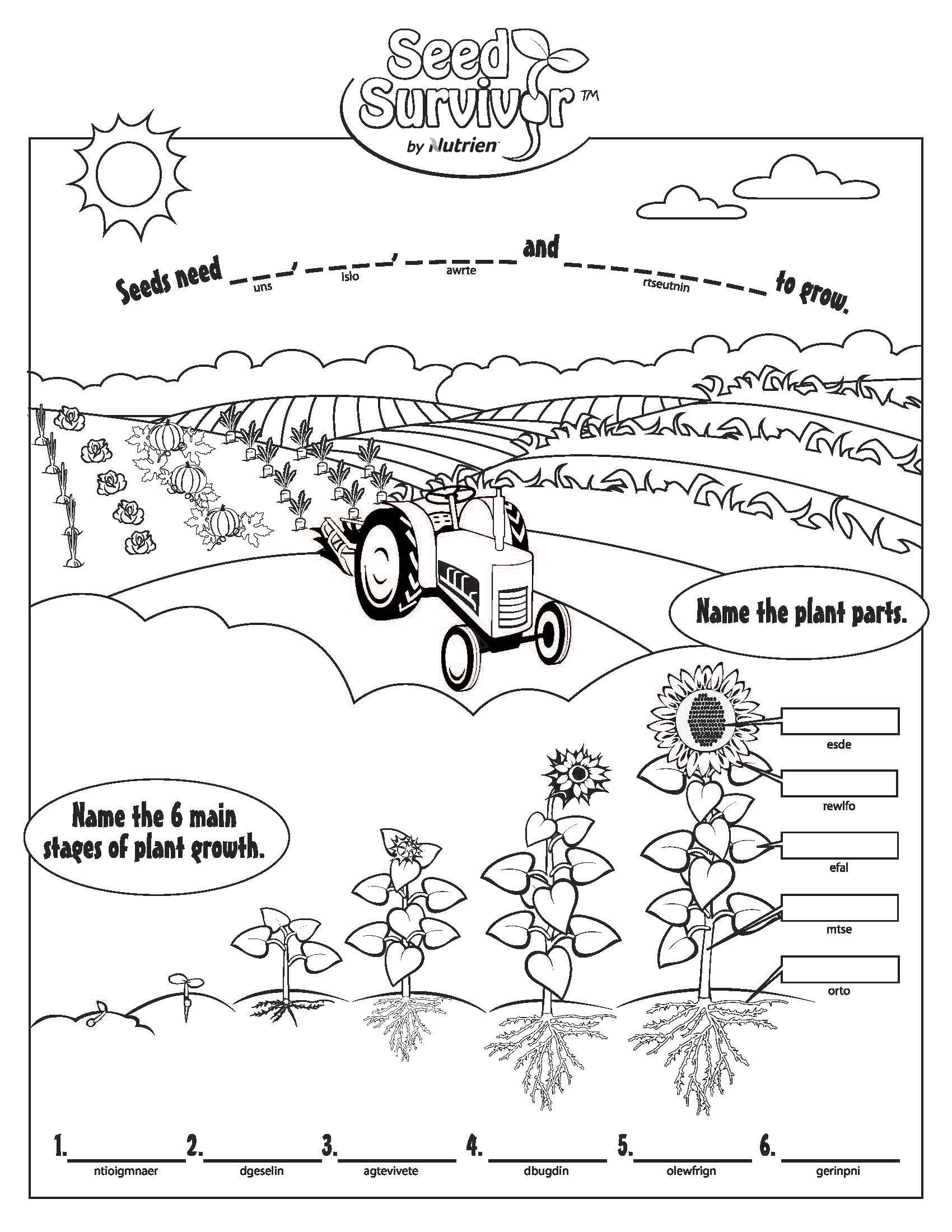 1700x2200 Colouring Pages Seed Survivor