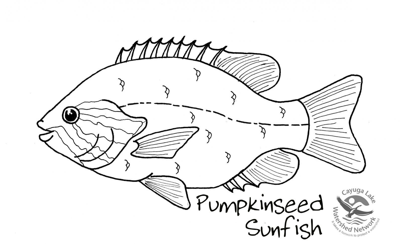 1600x973 Incredible Holiday Coloring Page Printable Preschool To Tiny