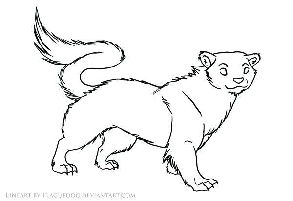 600x411 Weasel Animal Coloring Pages Animal Tracks Coloring Pages Best