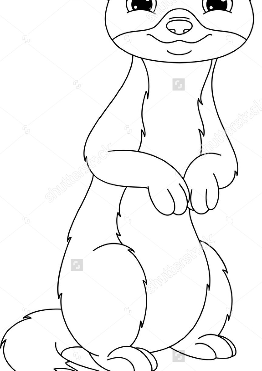 863x1224 Weasel Mustela Coloring Pages Free Printable Least Page Animals