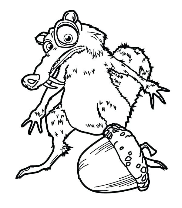 600x686 Weasel Animal Coloring Pages Transasia