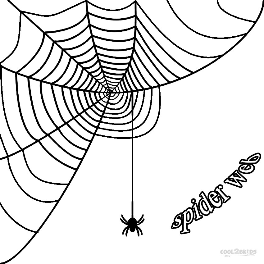 850x850 Printable Spider Web Coloring Pages For Kids Cool2bkids