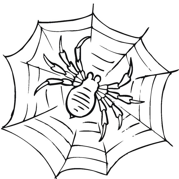 600x600 Spider Web Coloring Page Awesome Spider Web Coloring Page Netart
