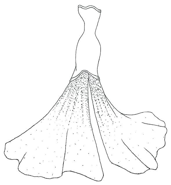 590x637 Dress Coloring Pages Dress Pictures To Color Wedding Dress