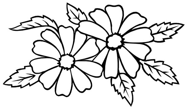 600x351 Flower For Wedding Party Coloring Page