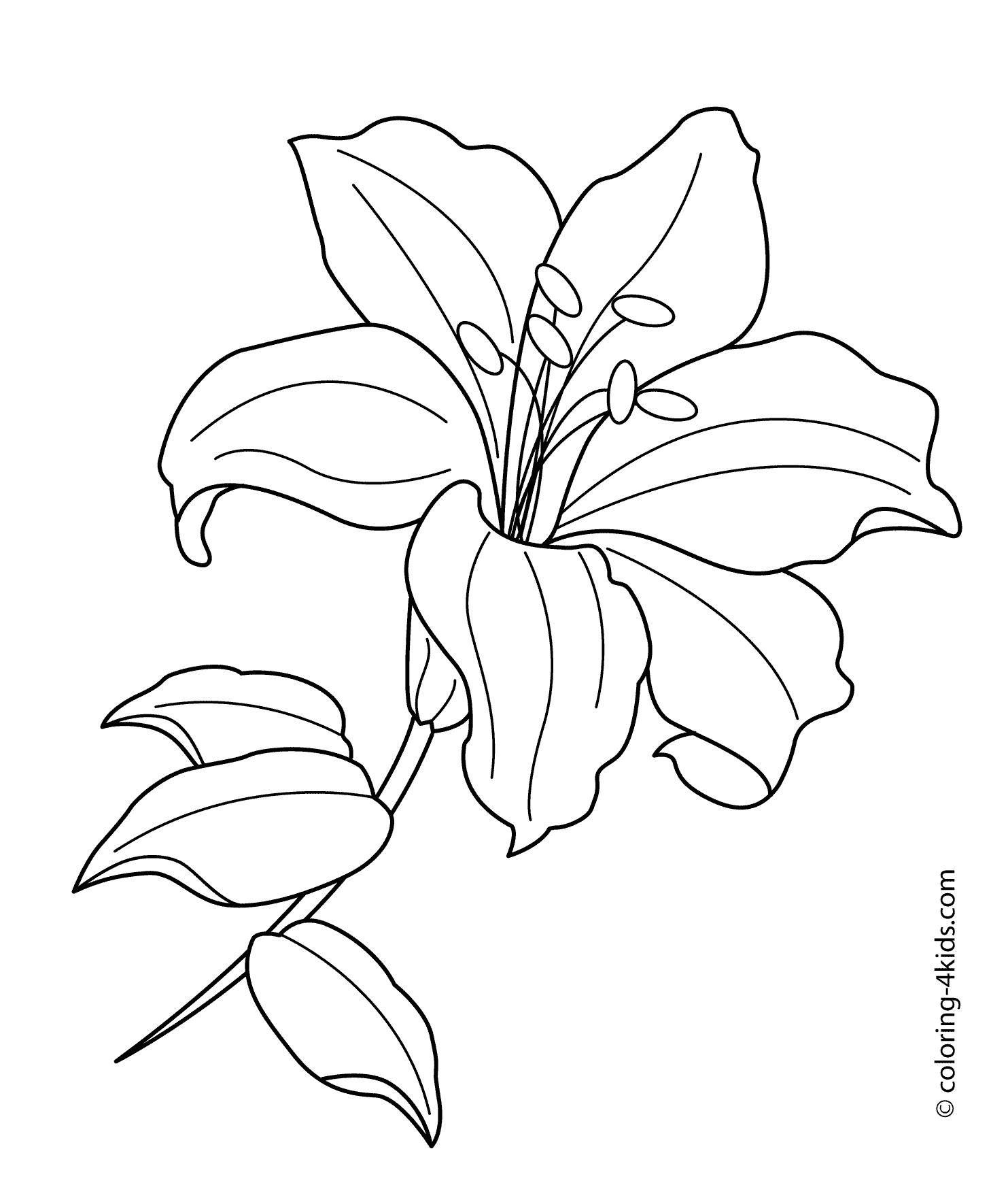 1483x1764 Types Of Flowers Coloring Pages Fresh Wedding