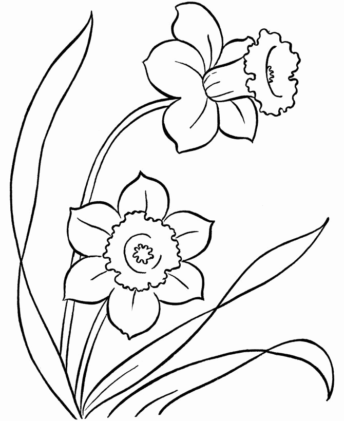 670x820 7 Fantastic Wedding Coloring Pages For Kids Wedding Bouquet