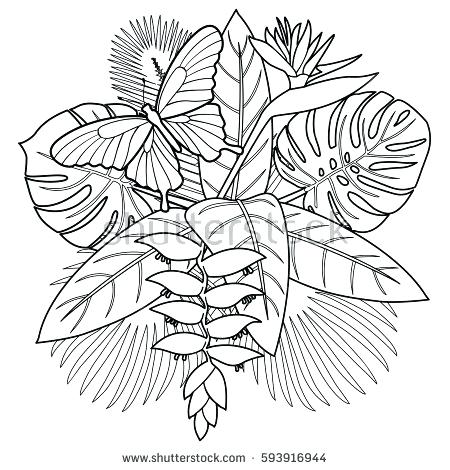 450x470 Best Wedding Coloring Pages Flower Bouquet Plus Wedding Coloring