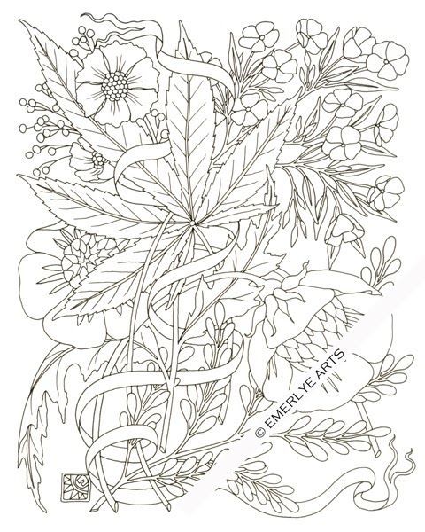 Weed Plant Coloring Pages