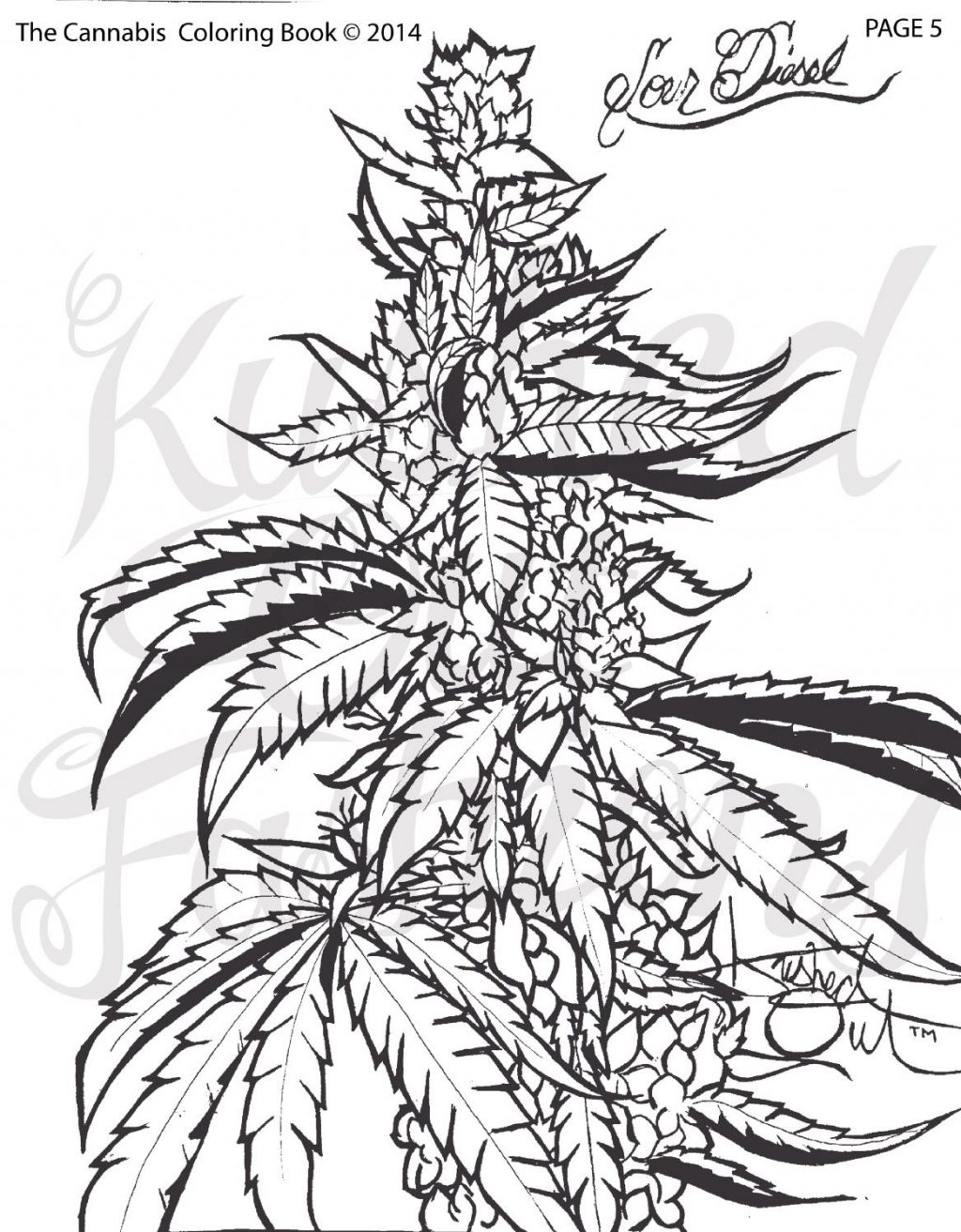 1024x1313 Ko Studio Art Coloring Book Page Stoners Weed Spencers Fantasy