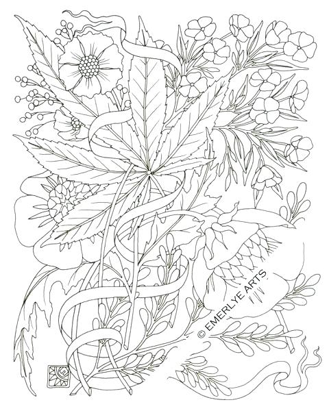 480x600 Marijuana Coloring Pages Marijuana Coloring Pages Download This