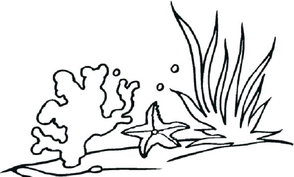 600x362 Plant Pictures To Color Coloring Pages Plants Plants Coloring