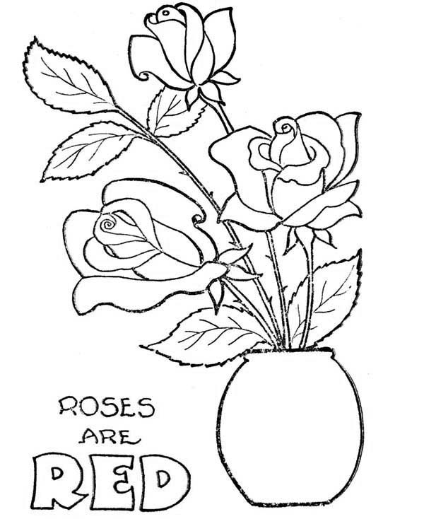 600x734 Rose In Flowerpot Coloring Page