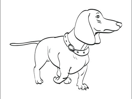440x330 Wiener Dog Coloring Pages Dachshund And Fairy Sheet More Weiner
