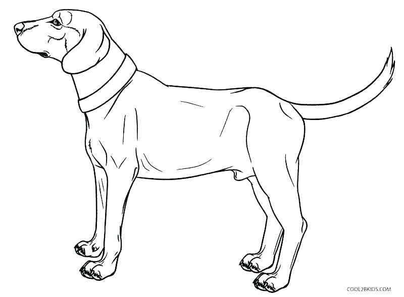 800x589 Weiner Dog Coloring Pages