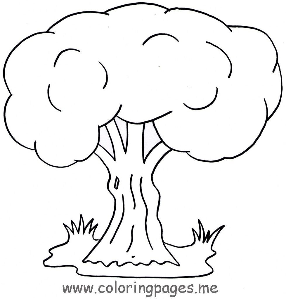 979x1024 Fresh Weeping Willow Tree Coloring Page Free Coloring Pages Download