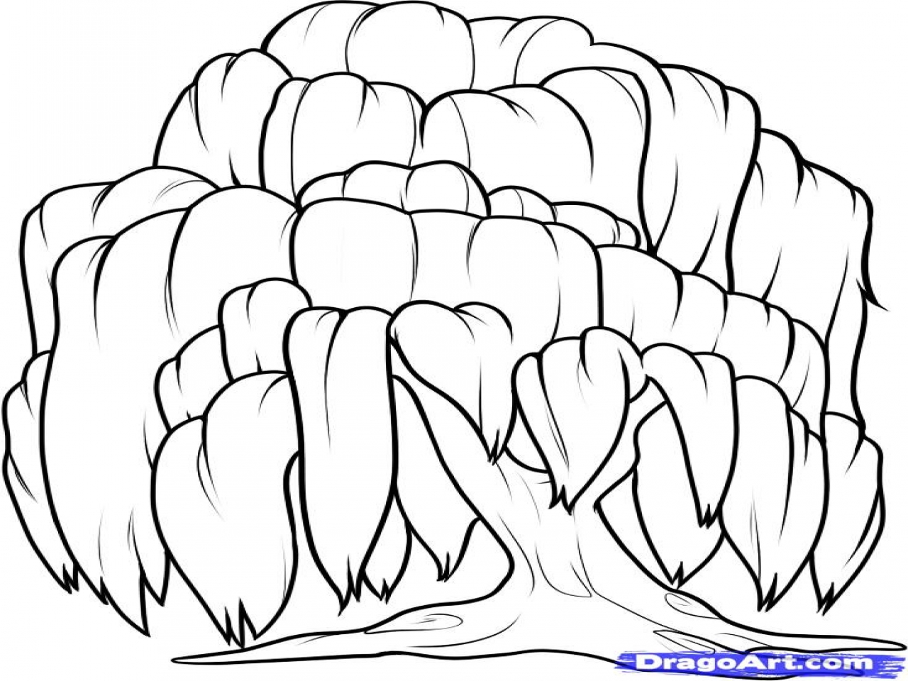 1280x960 Willow Tree Coloring Easy How To Draw A Weeping Step By Trees Pop