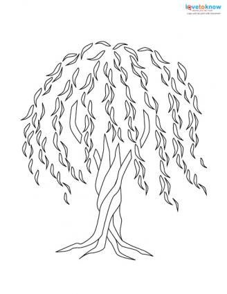 328x425 Willow Tree Tattoo Willow Tree Tattoos, Willow Tree And Tattoo