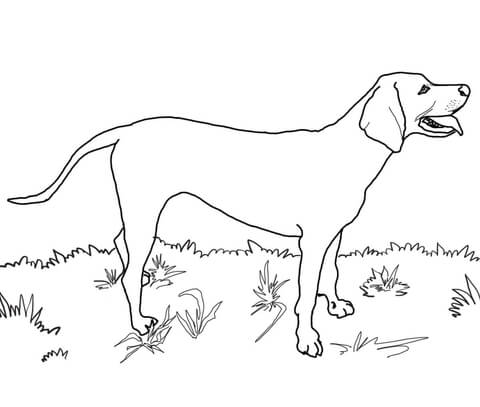 480x407 Baby Coloring Pages