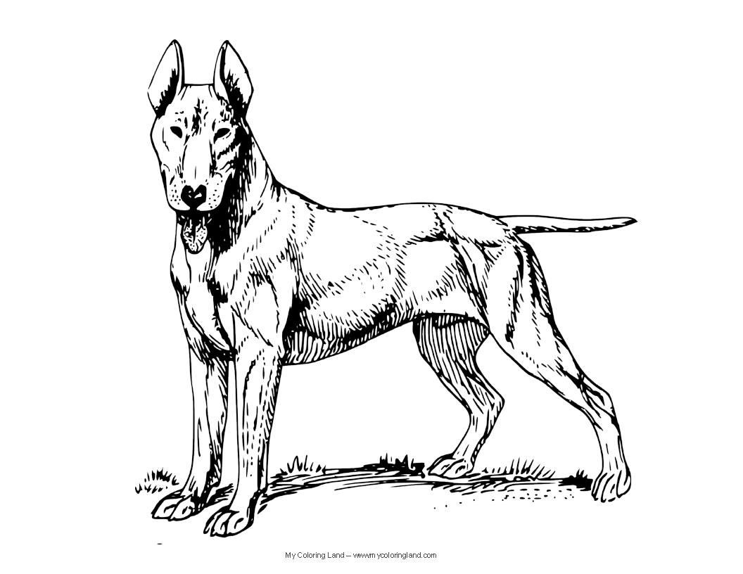 1056x816 27 Realistic Dog Coloring Pages, Realistic Pegasus Coloring Page