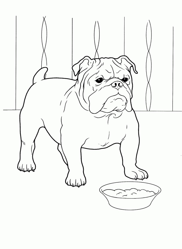 590x804 3167 Best Dog Patterns Images On Dog Pattern, Coloring