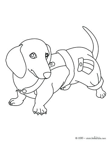 364x470 Dachshund Puppy From Www Wiener Dog Coloring Pages