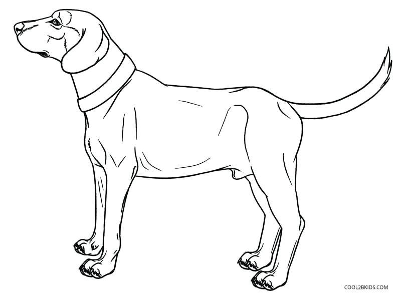 800x589 Awesome Weiner Dog Coloring Pages Dachshund Coloring Page
