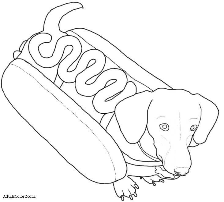 732x663 Image Result For Weenie Dog Coloring Page Littles