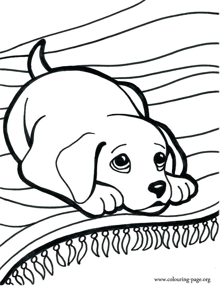 700x912 Wiener Dog Coloring Pages Weiner Dog Coloring Pages