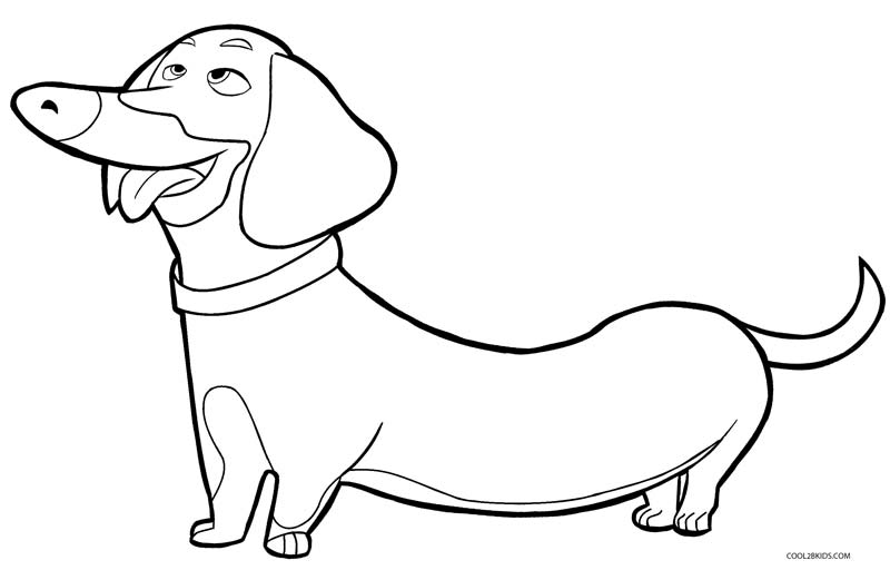 800x512 Wondrous Dachshund Coloring Pages Wiener Dog Printable