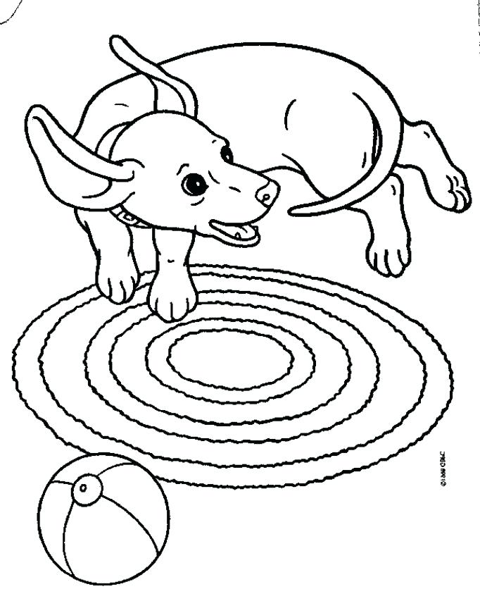 682x853 Dachshund Coloring Page Dog Coloring Pages Images Lps Dachshund