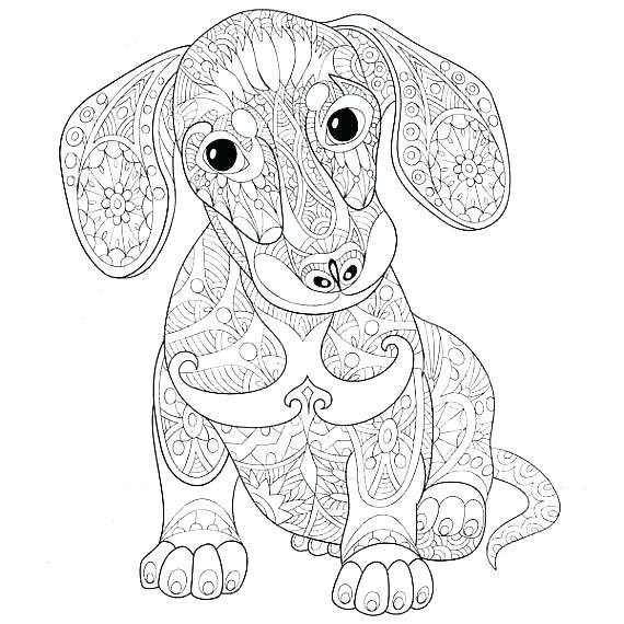 570x570 Dachshund Coloring Page Dog Coloring Pages Wiener Dog Coloring
